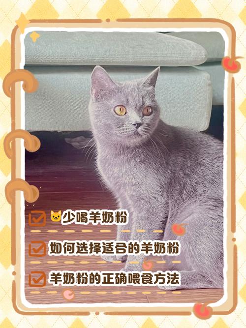猫咪不喝羊奶粉怎么办