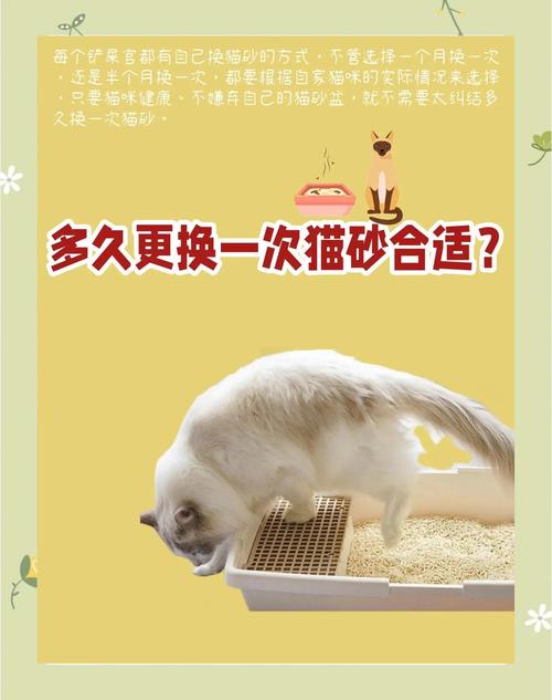 猫砂怎么换,多久换一次全部新的