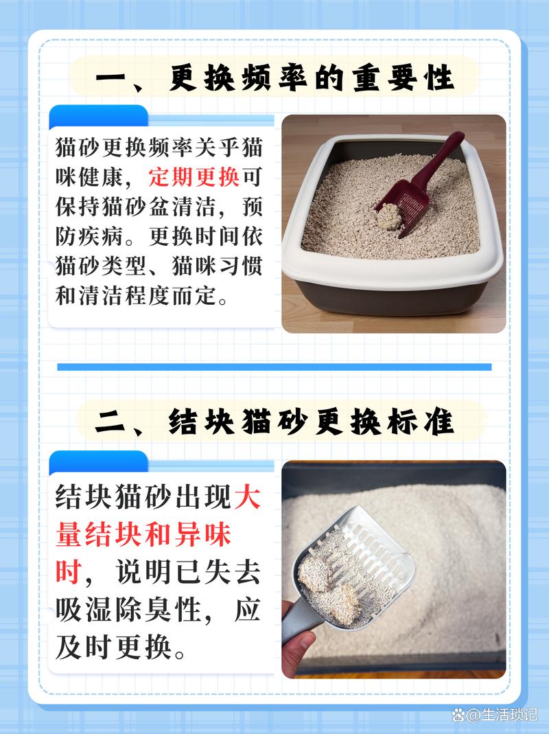 猫砂多久彻底换一次比较好