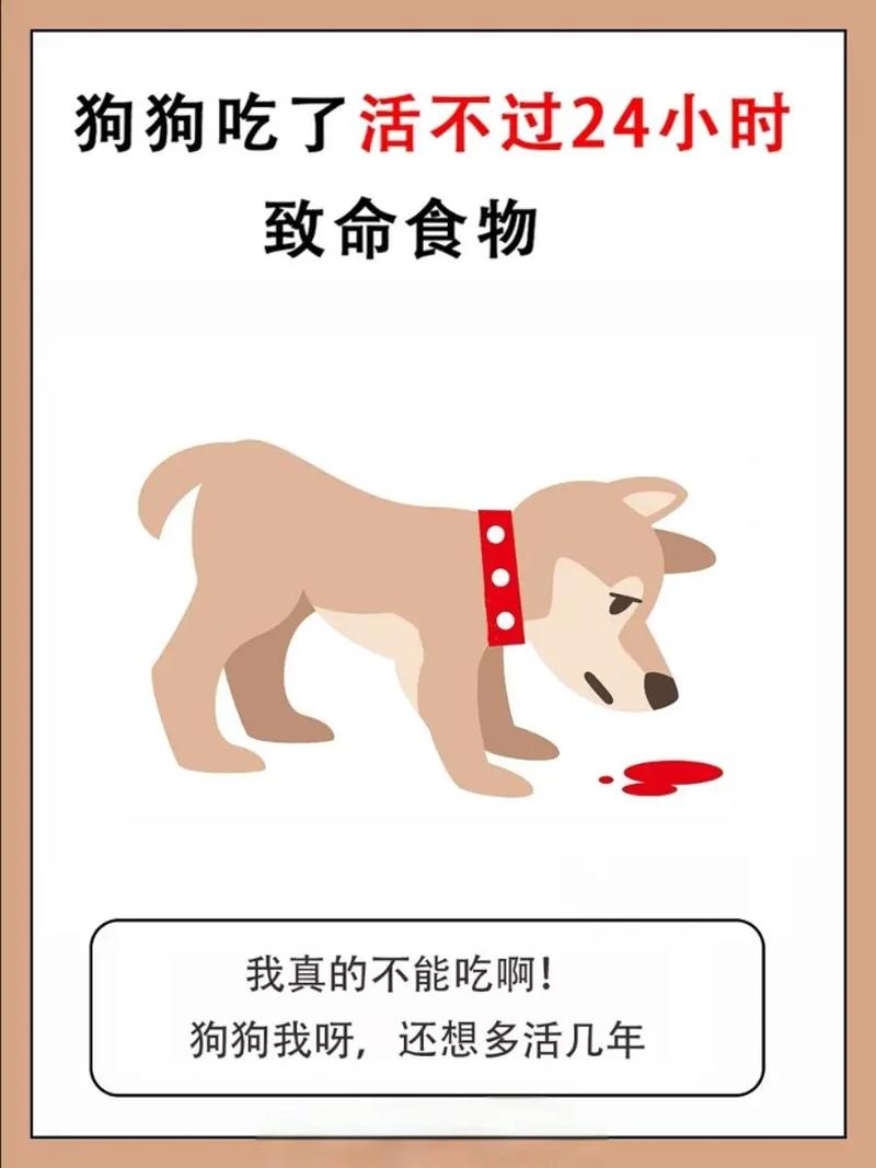 这10种蔬果狗狗“不可以吃”,比较严重的可至死