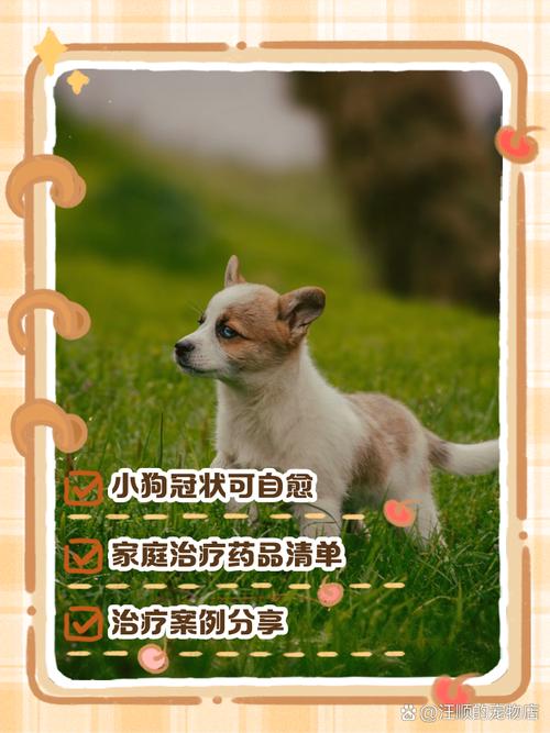 狗狗冠状病毒会自愈吗