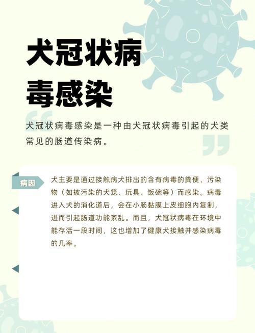 为什么狗狗会得冠状