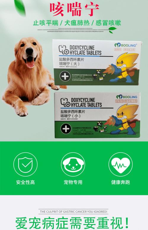 治疗狗狗咳嗽的最快的药