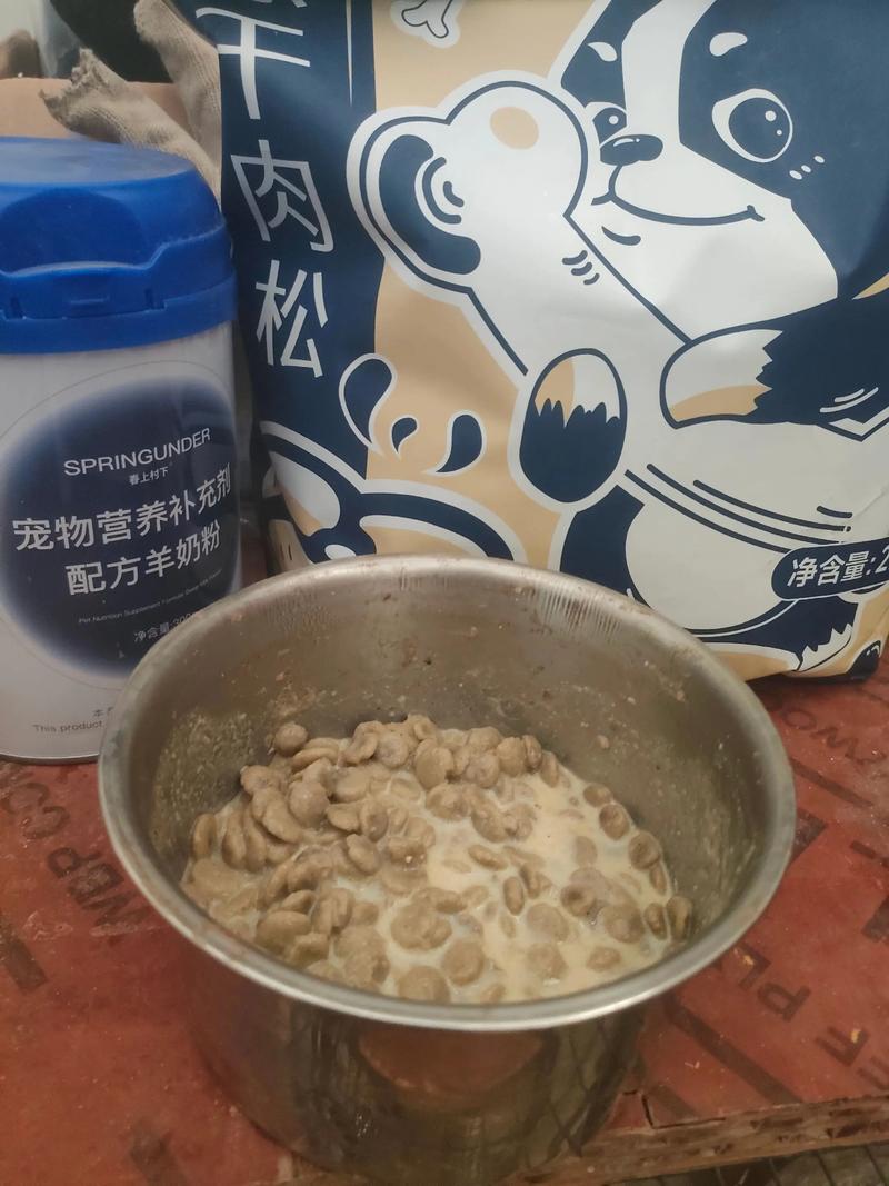 狗狗25天可以吃狗粮一天几顿