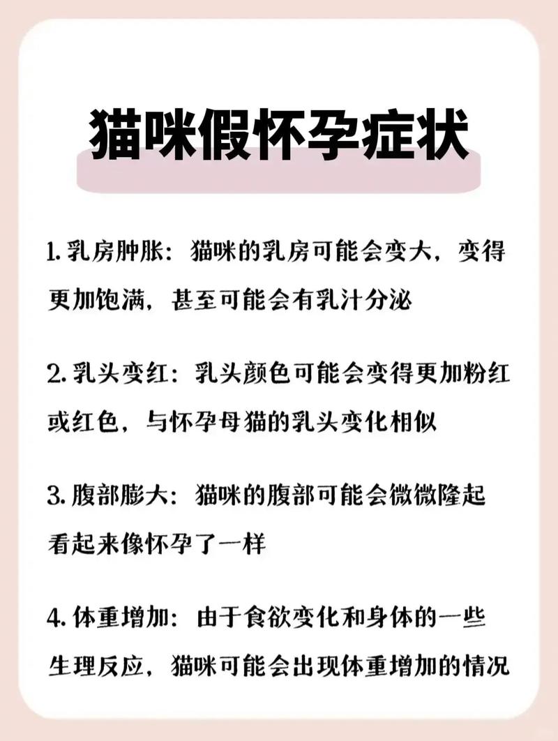 猫咪见红几天了也不生