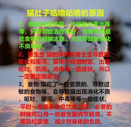 猫咪到新家咕噜咕噜叫是什么情况?