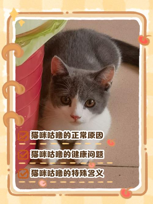 猫咪不停地咕噜咕噜叫,你能分清楚是开心还是难受吗?