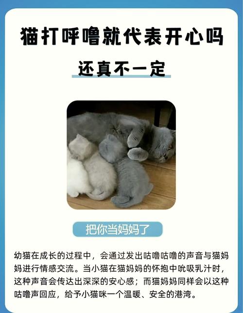 我摸猫猫的时候,他发出咕噜咕噜的声音是什么意思?