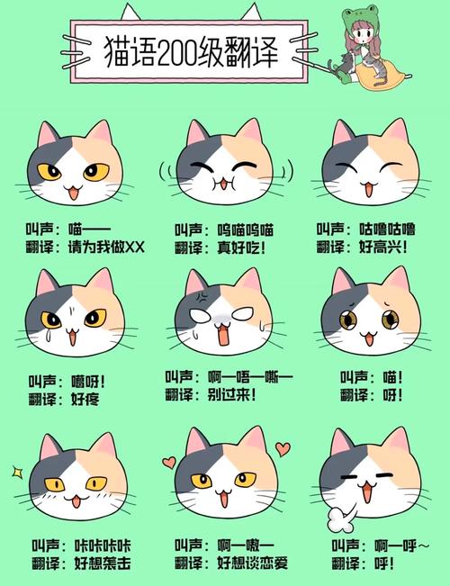 喵～喵!这样叫,猫咪是高兴还是生气?
