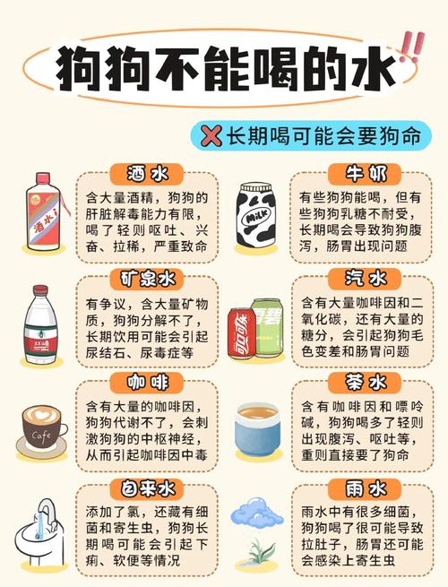 狗狗非常容易得病?缘故就是你给它喝过“夺命水”,这5种水要“慎喂”