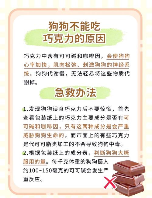 狗狗吃巧克力怎么解毒