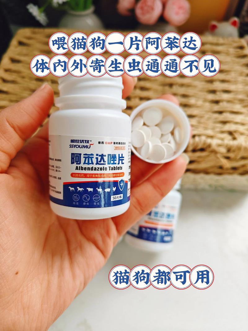可以给狗吃人吃的打虫药吗