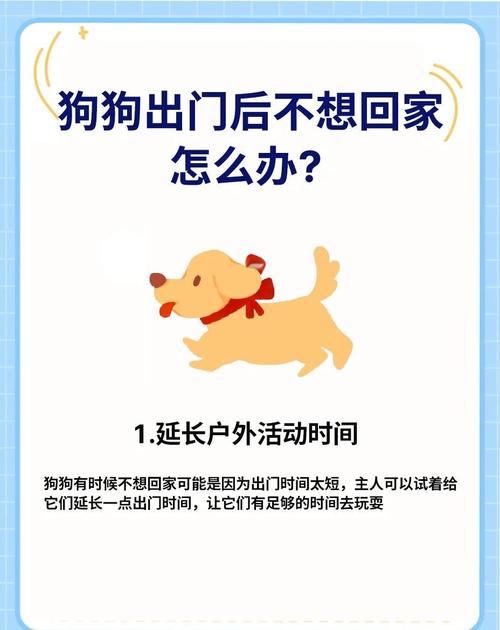 出去遛狗,狗狗不愿意回家怎么办?
