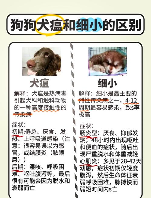 犬瘟症状