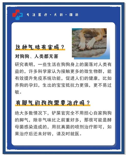 宠物狗脚臭该怎么解决?