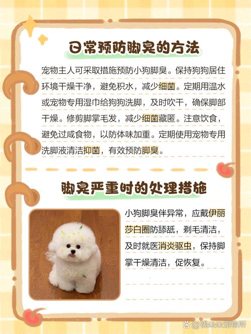 狗狗的脚很臭怎么办