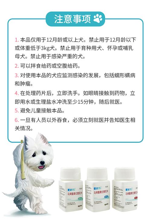 狗狗皮肤痒的厉害吃什么药