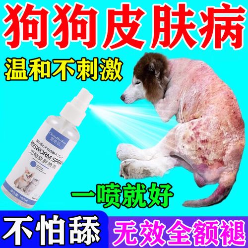 狗狗皮肤病用什么药止痒效果好