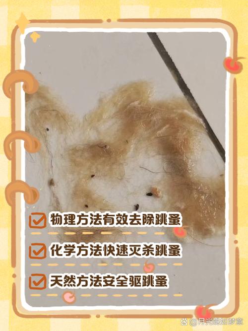 给狗狗洗澡加什么去除跳蚤