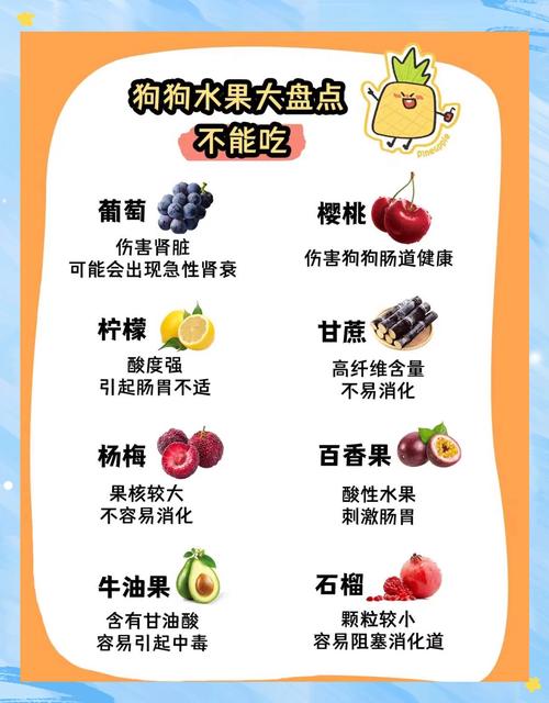 狗能吃柑橘类的东西吗