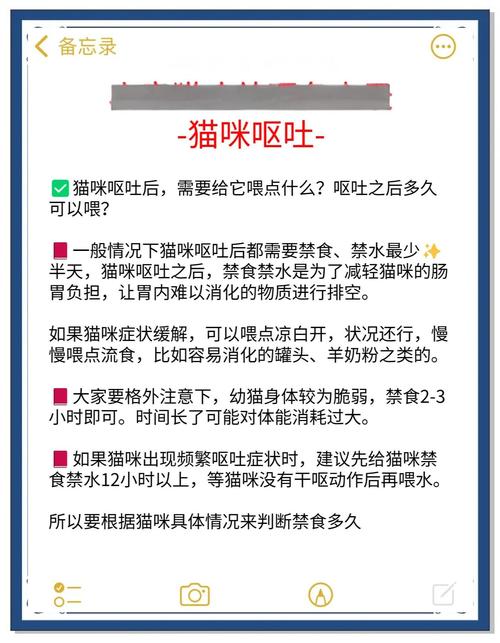 猫咪呕吐后要禁食多久