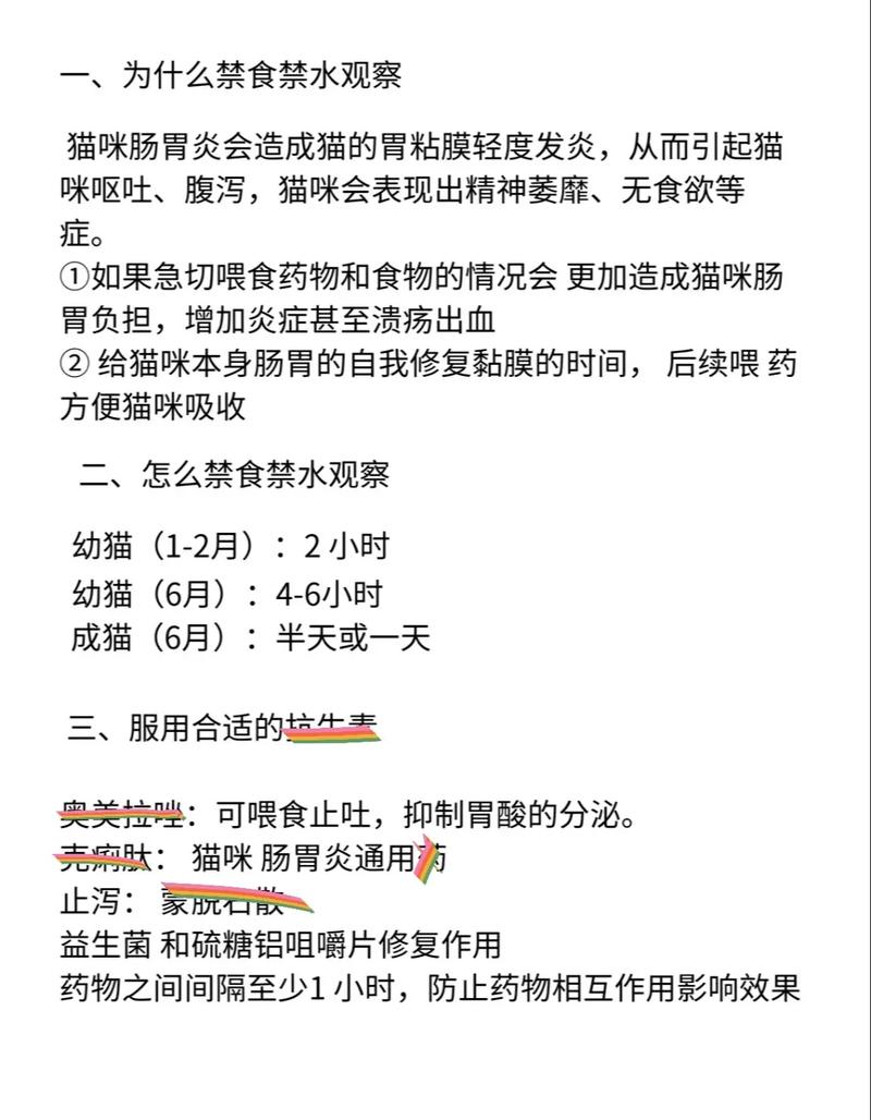 猫咪吐了要不要禁食禁水