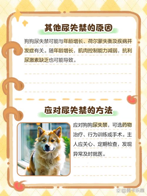 狗狗突然倒地四肢伸直尿失禁