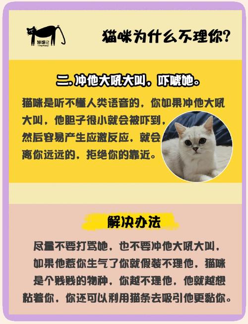 养了两个多月的猫一点也不亲我,还会咬我叫名字不理这该怎么办?