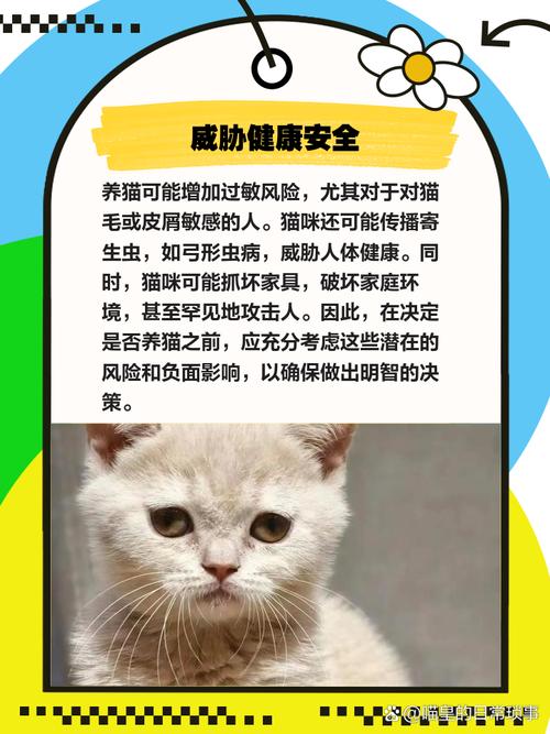 从猫咖回来后家里的猫咪不理人怎么办?