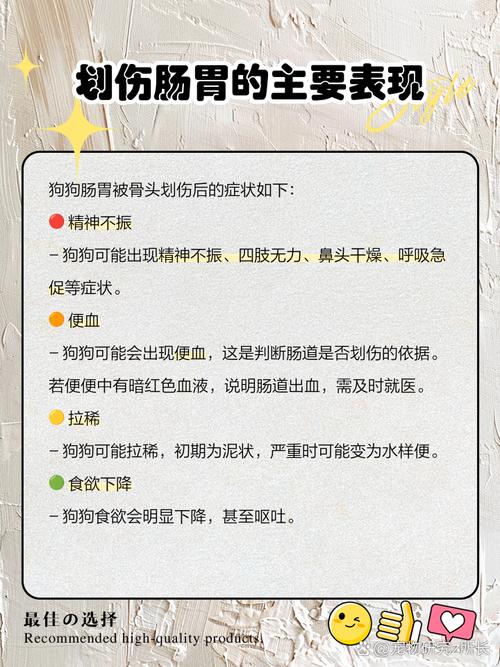 狗狗被骨头划伤肠胃的症状