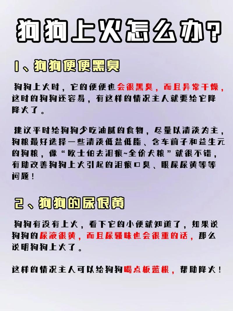 狗狗上火了怎么办