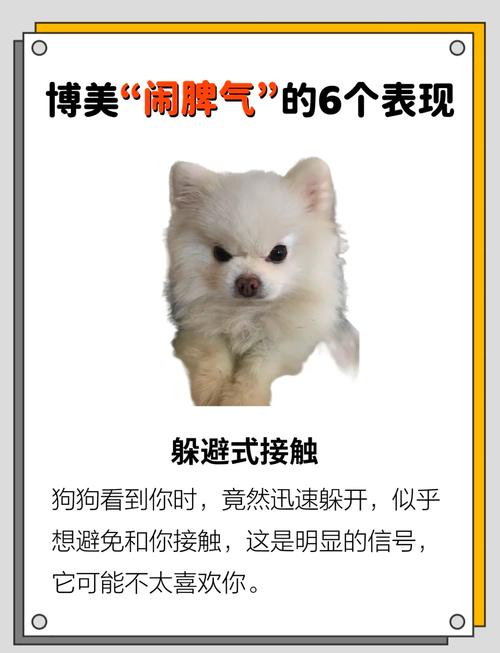 狗狗这5个行为,说明它生气了!