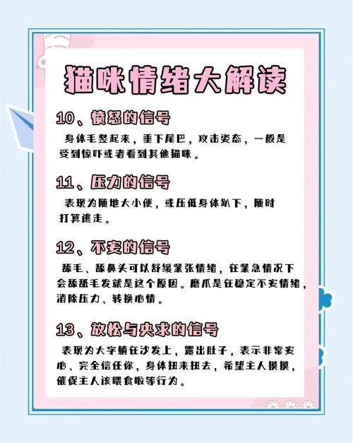 猫对人有感情吗,猫对人有感情