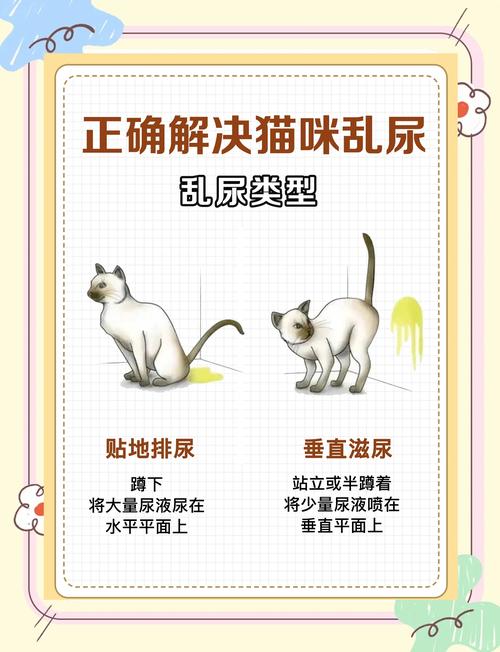 猫咪乱拉乱尿的原因都在这了!附解决办法