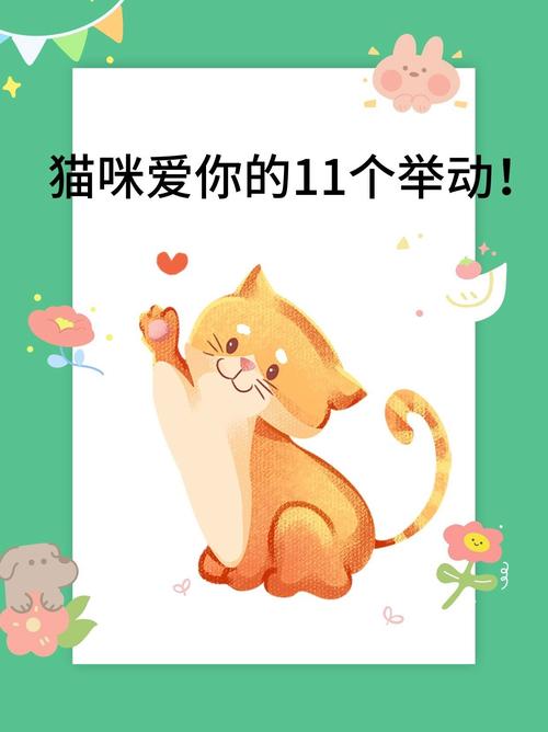 为什么猫咪喜欢趴在主人身上睡觉