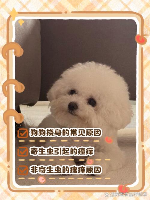 狗狗经常挠痒痒的原因有哪些?