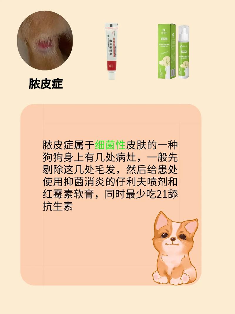 狗脓皮病怎么办?
