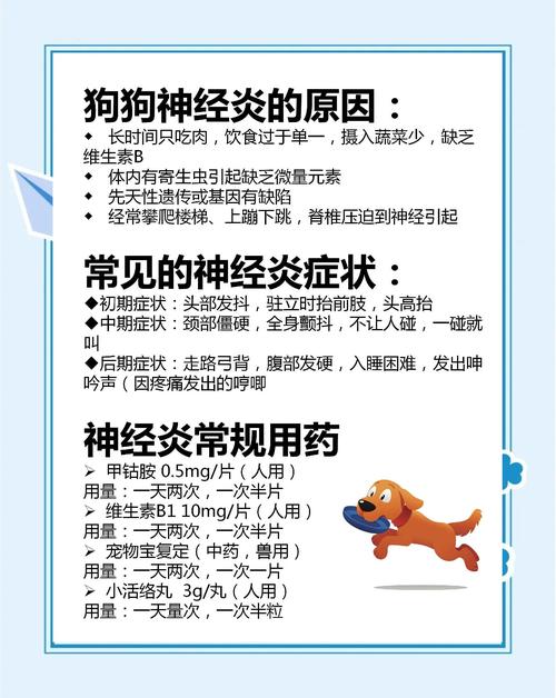 狗狗脑炎的最佳治疗方法