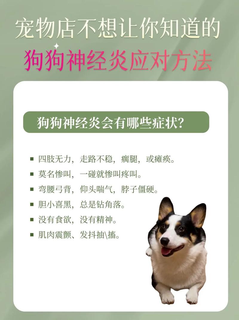 狗狗得脑炎怎么治疗