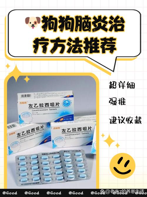 狗狗先天脑炎怎么治疗