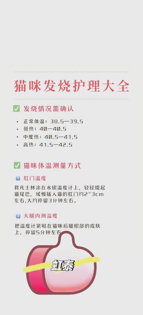 猫咪感冒6种情况分不清,小心猫命__