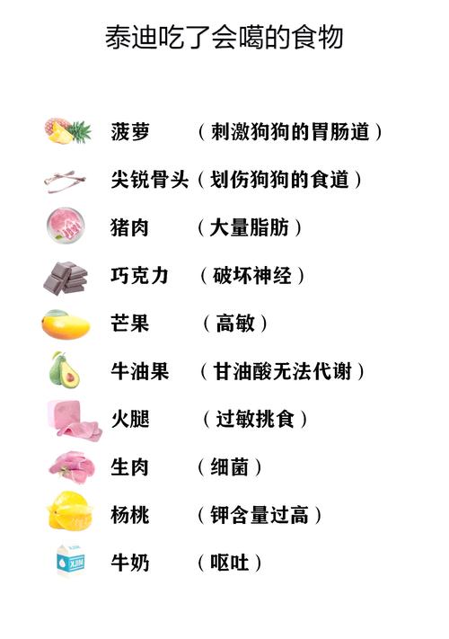 狗狗能不能吃面包