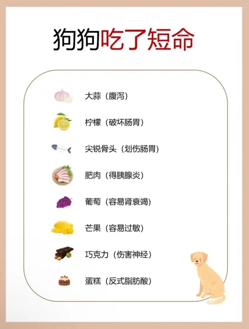狗狗不小心吃了挺大一块面包怎么办?