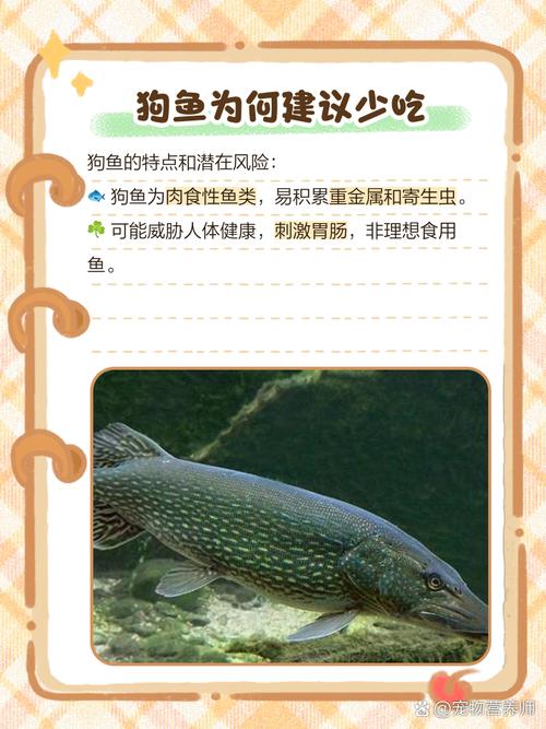 狗能不能吃哪些鱼类