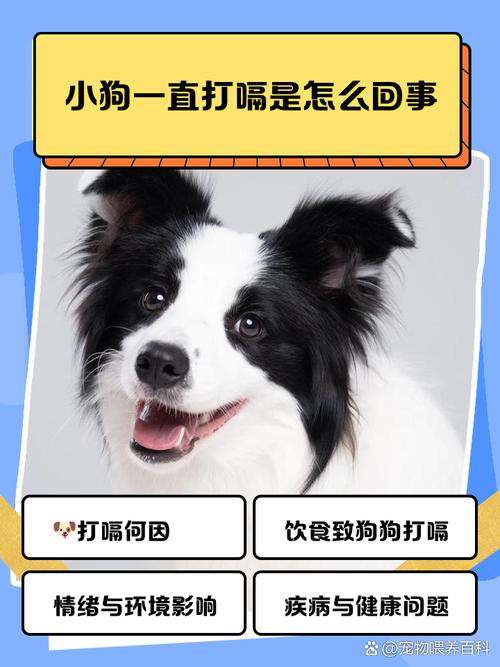 狗总是打嗝怎么办