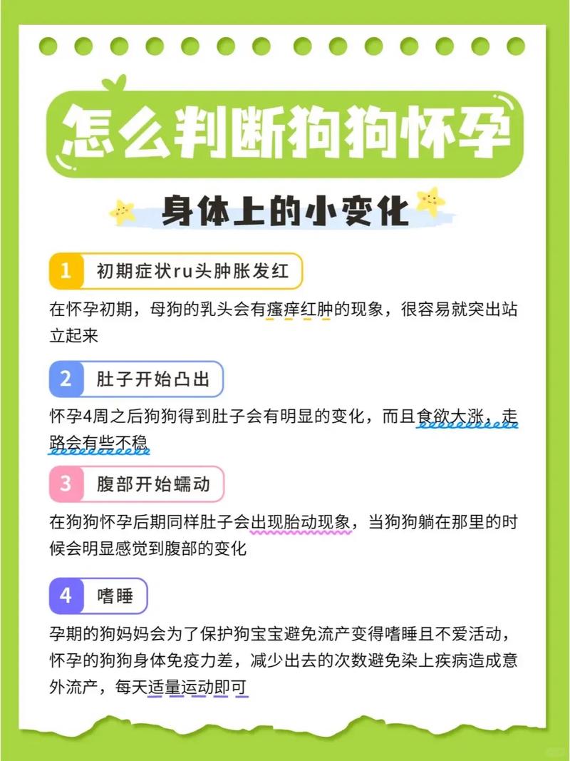 狗狗怀孕了怎么知道到快要生了