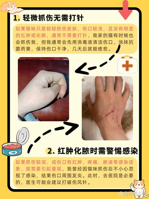 猫抓了一下出了点血要打疫苗吗?