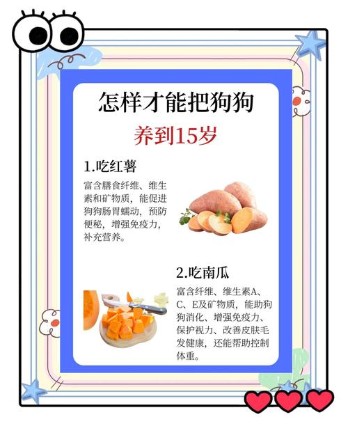 一个月狗狗吃什么