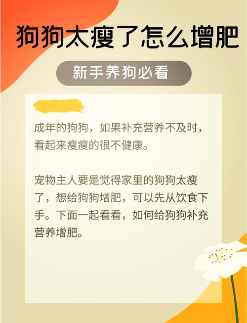 狗狗如何增肥?