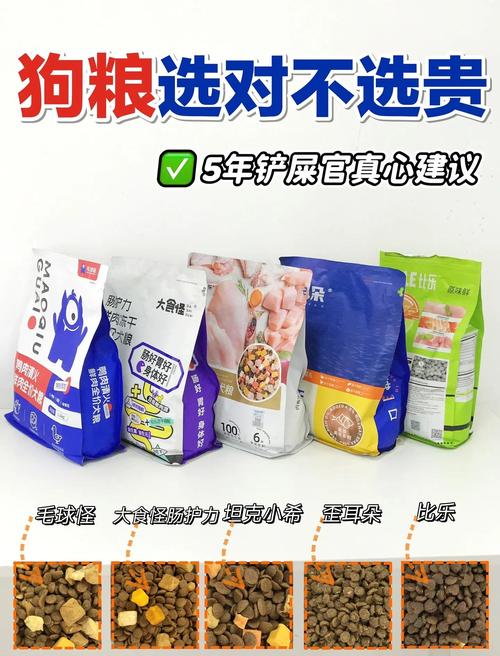 狗狗有点拉肚子吃点什么好啊